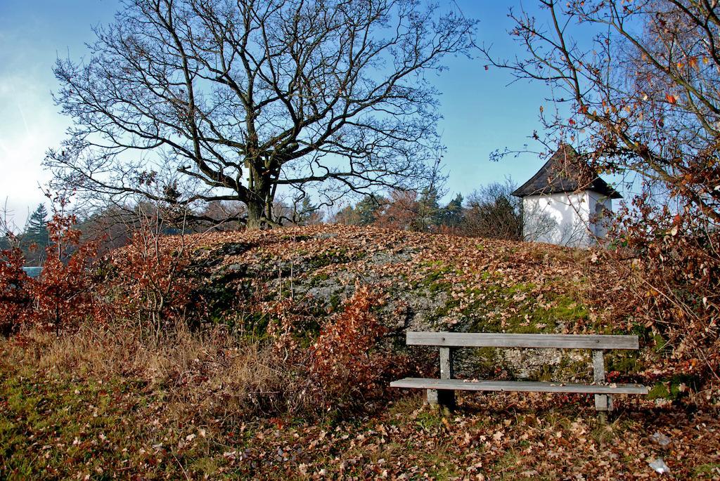 Gasthof Und Pension Haunschmid Rechberg Exterior foto